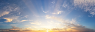 City pollution and its impact on skin health — antioxidant skincare protection