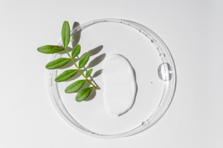 Skincare formulation in a lab petri dish — bakuchiol plant-powered retinol