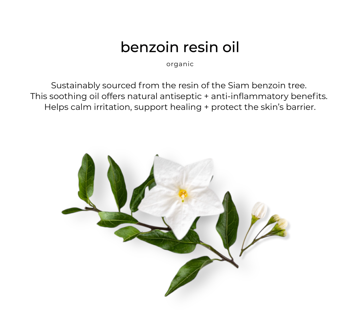 Velvet vitashield luxe skin cream