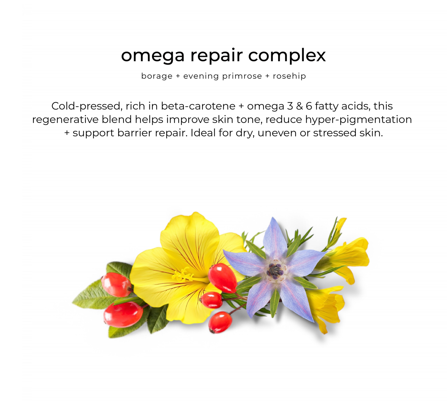 Youglow elixir sleep repair oil