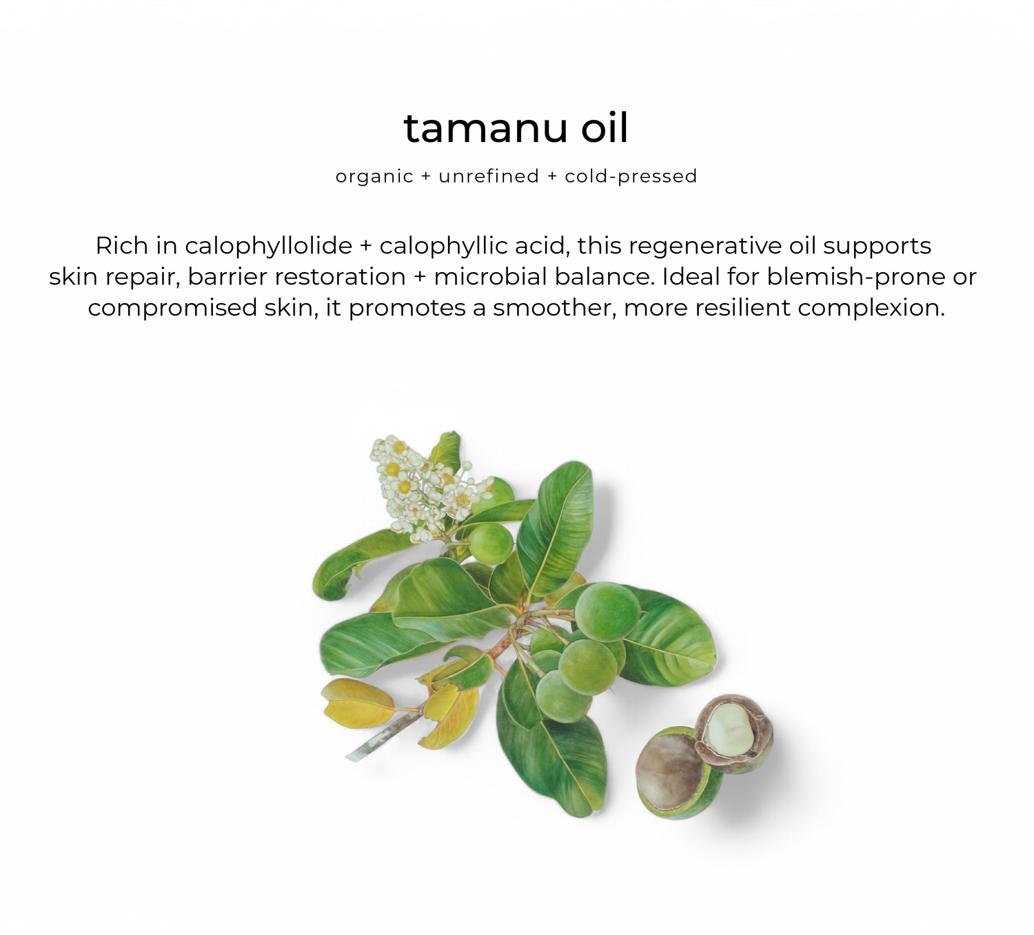 Bloom facial oil
