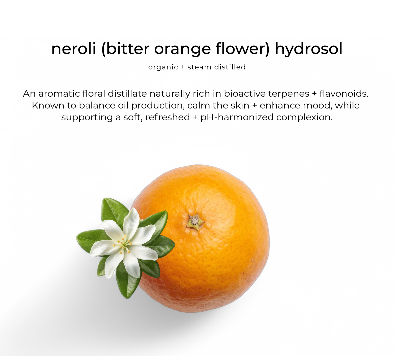 Dayglow Vitamin C serum