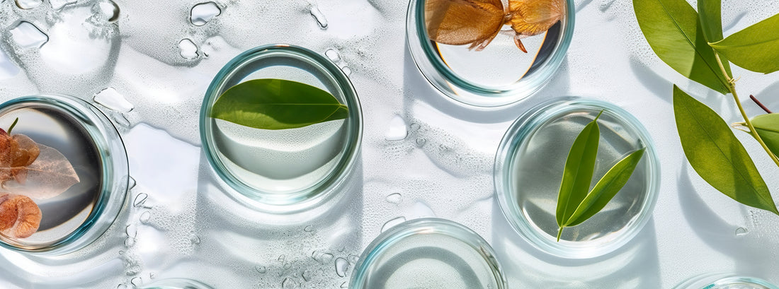 Is botanical skincare better?🌿 spoiler: It’s WIN WIN for your skin AND the environment🌏