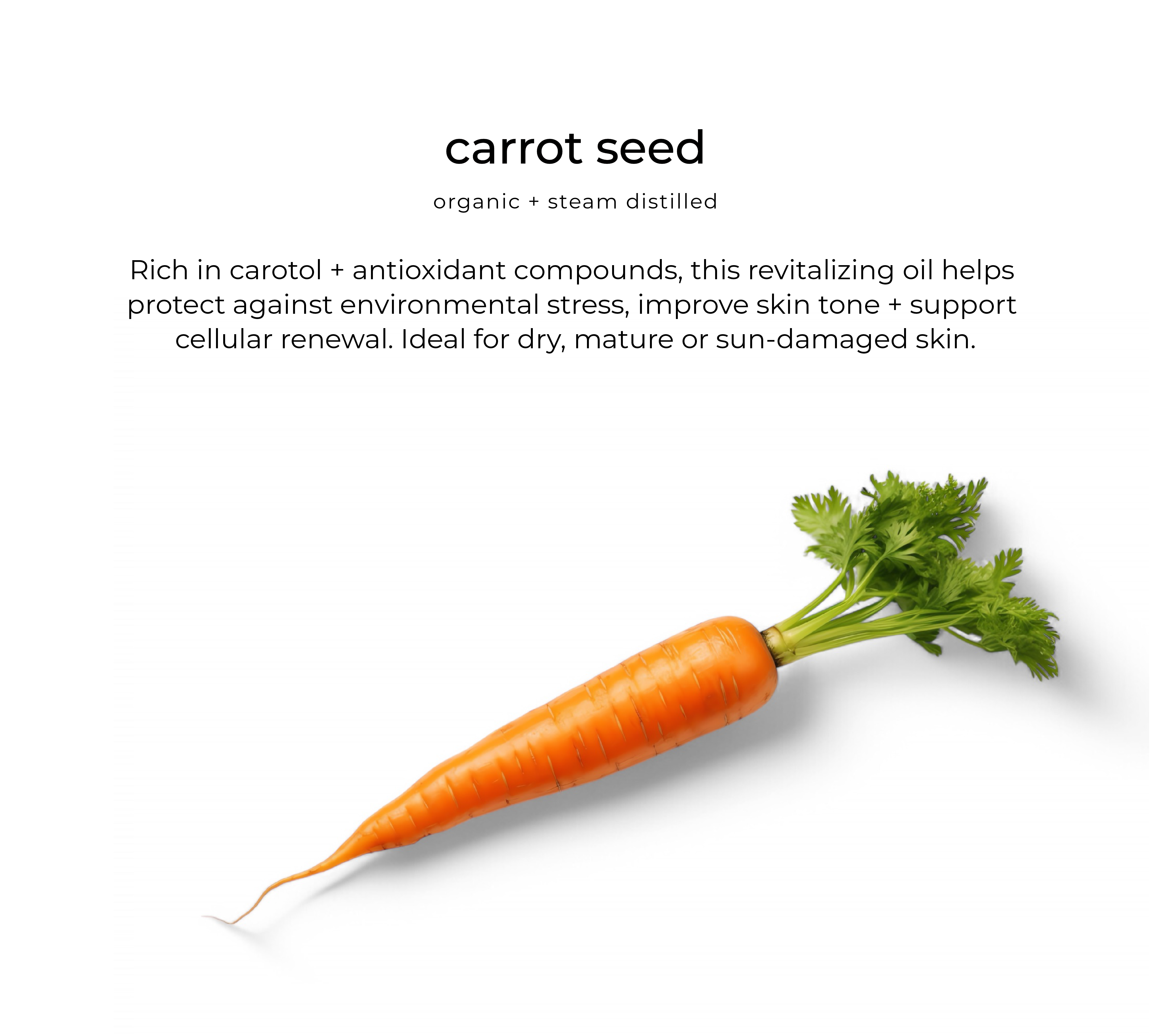 Youglow elixir sleep repair oil